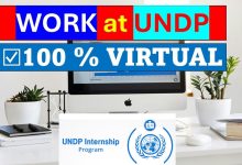 UNDP Digital Transformation Internship