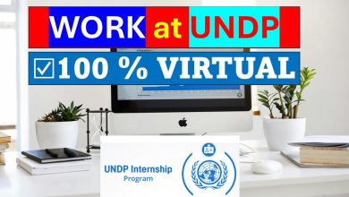 UNDP Digital Transformation Internship