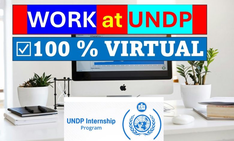 UNDP Digital Transformation Internship